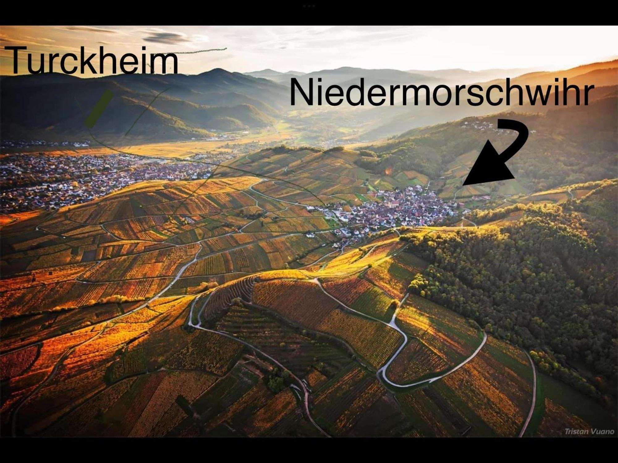 Caveau 1751 Niedermorschwihr Экстерьер фото